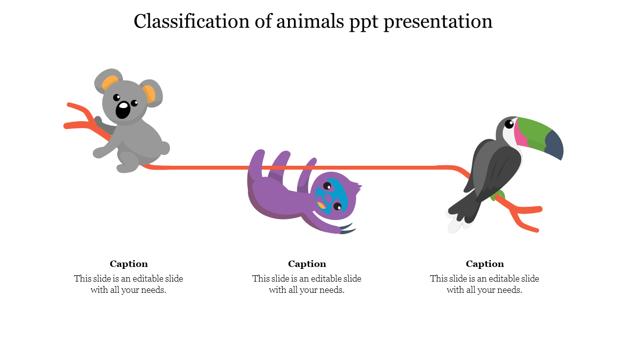 classification of animals ppt presentation